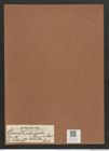 Clavicula polymorpha var. tumida Pant. (de-Toni-Nr.: Genus 75, Species 2800) Zeichnungen Sammlung Grunow Mappe 02975 (Herbarium_W_Grunow_drawings_Folder_02975)
